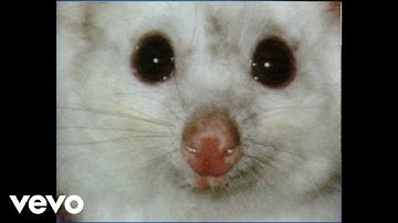 Midnight Oil - Pictures (Official Video)