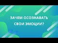 Зачем понимать свои эмоции? [Эмоциональный интеллект]