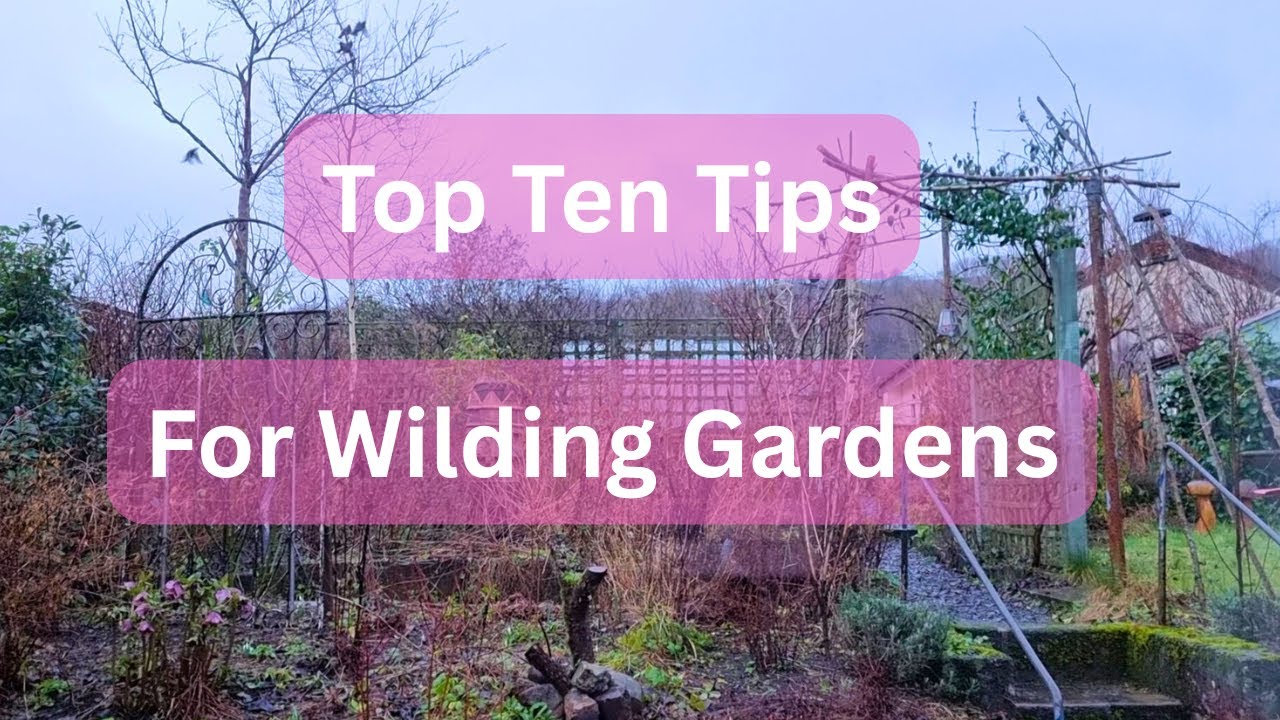 Садоводство во благо природы, нас самих и планеты.