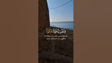 تلاوة هادئة تريح الأعصاب 😴🎧 القارئ: طارق محمد سورة: إبراهيم 💙❤