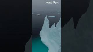 Internal Flight || Estas Tonne & Paganel Studios #shorts