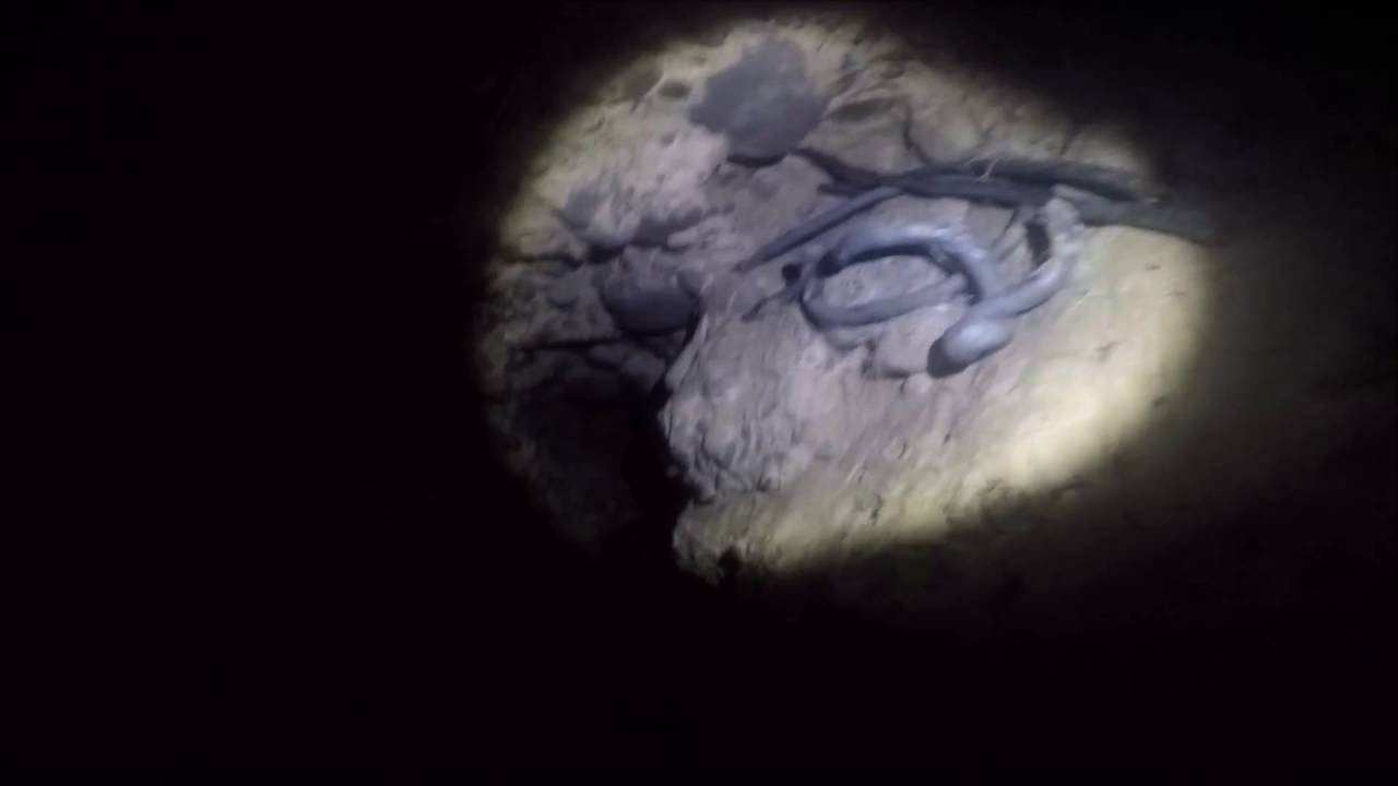 رحلة استكشافية داخل خيف عين علي الحربية-الجزء الأول -ينبع النخل