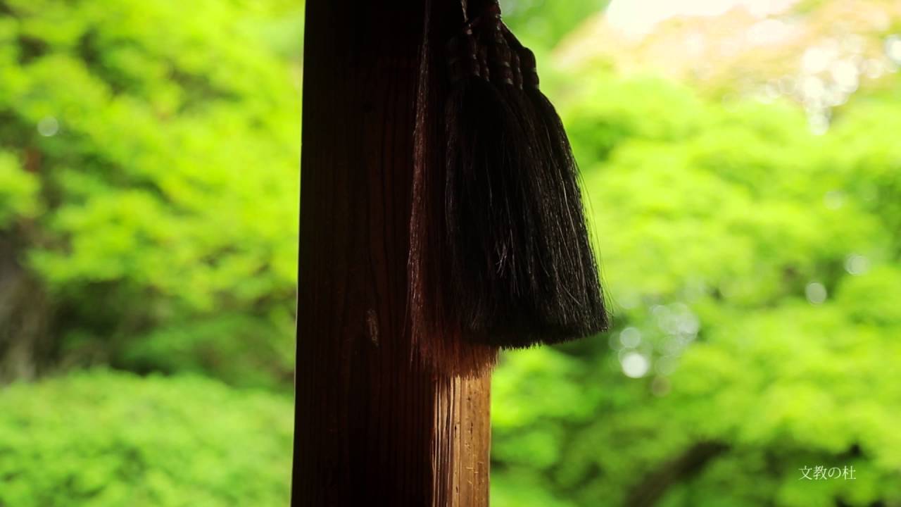 開館時間/お問い合わせ先の外観