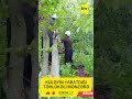 KÜLƏYİN YARATDIĞI TƏHLÜKƏLİ MƏNZƏRƏ