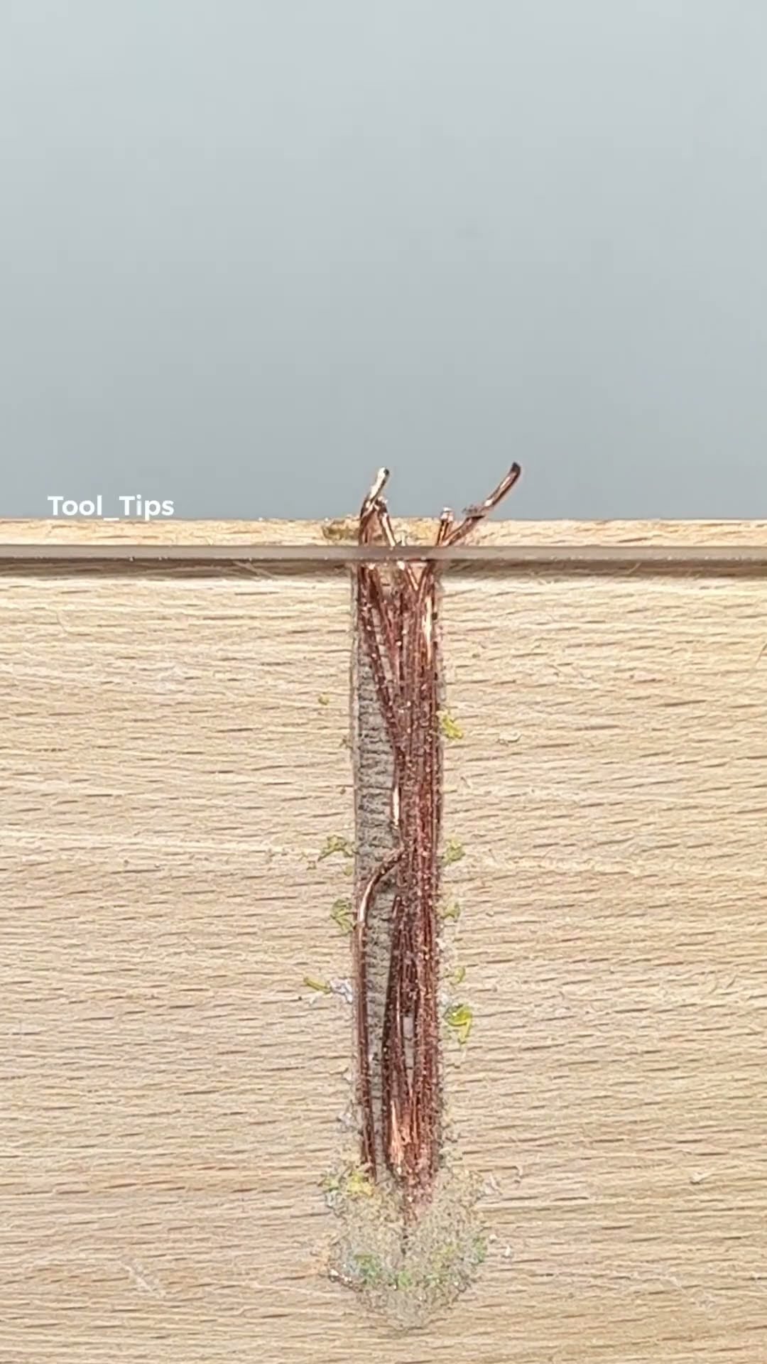 The Tips for Screwing ?