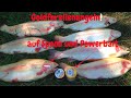 Forellenangeln mit Spoon Pose Meisters Forellenhof Goldforelle Lachsforellen Powerbait am großen See
