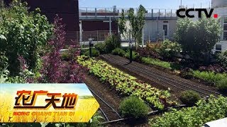 《农广天地》悬在空中的财富 20181217 | CCTV农业