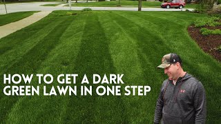 I added THIS to my lawn and WHAT A CHANGE!!! Yard Mastery Double Dark