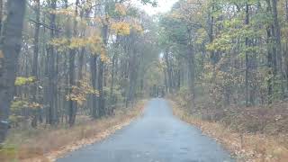 Rainy Drive Through Fall Foliage in New Jersey - October 20, 2019