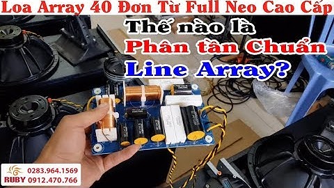 Loa Array 40 Đơn Full Neo Nhập khẩu cao cấp