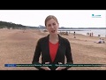 Зеленый Фронт: Роспотребнадзор не советует купаться в водоемах Петербурга