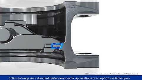F6 Triple Offset Valves   Series 30,000   Solid Seal Rings
