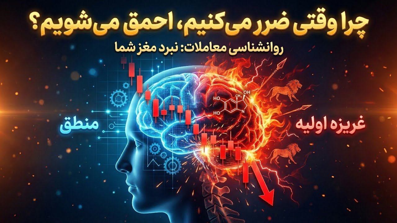روانشناسی معامله.چرا وقتی ضرر میکنیم احمق میشویم؟ قسمت چهارم