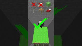Which Minecraft Block Can Steve Survive? #minecraft