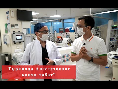 Video: Түркияда кантип жумуш табууга болот