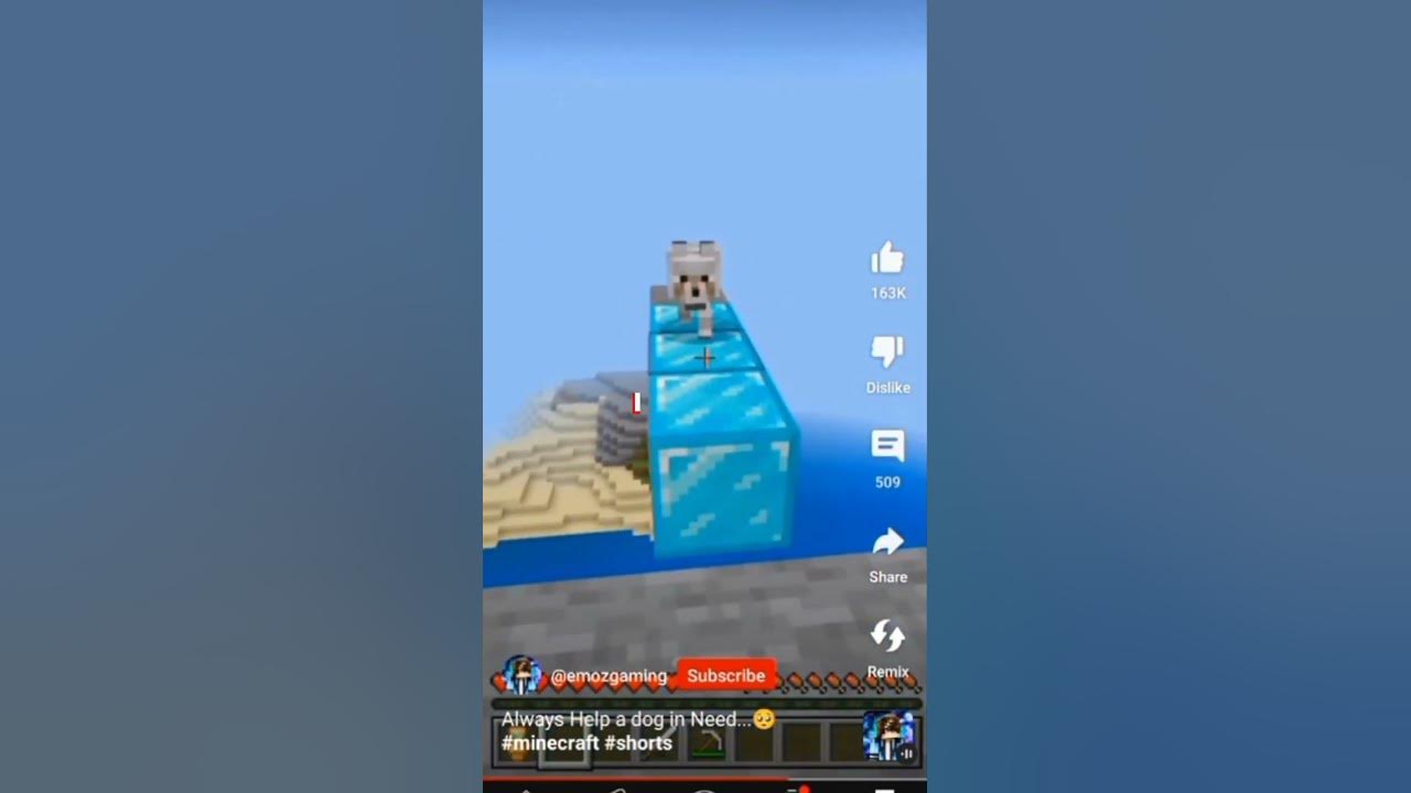 the-girls-vs-the-boys-saving-a-dog-in-minecraft-youtube