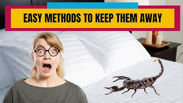 How To Get Rid Of Scorpion In The House? Safe & Natural Methods