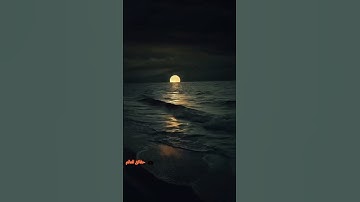 ﴿إن في اختلاف الليل والنهار وما خلق الله في السماوات والأرض لآيات لقوم يتقون﴾| القارئ عبدالله الموسى