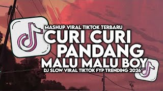 Download lagu DJ CURI CURI PANDANG X MALU BOY SLOW VIRAL TIKTOK FULL SONG MAMAN FVNDY 2026