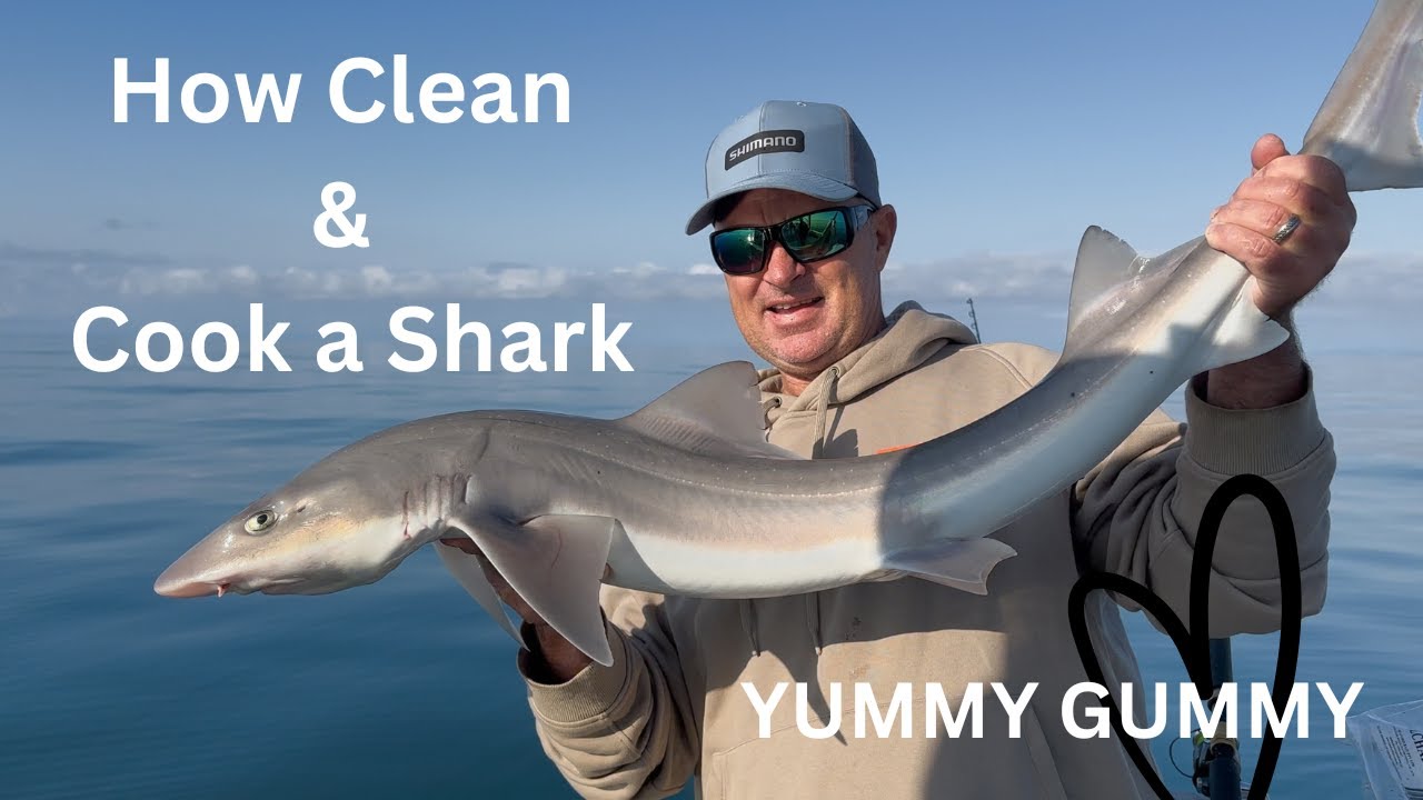How to Clean and Cook a Shark