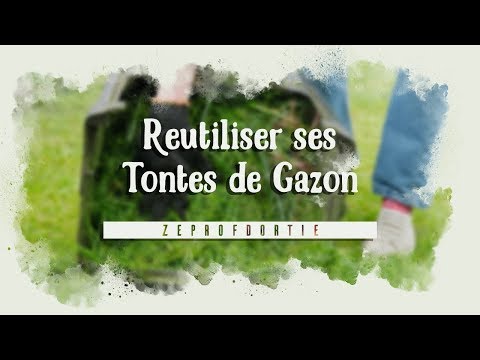 Vidéo: Comment Utiliser L'herbe Coupée à La Campagne ? Que Faire Du Gazon Après Avoir Tondu La Pelouse ? Que Faire Avec Et Faut-il Le Nettoyer ?