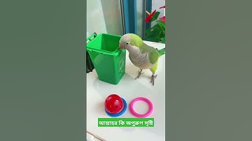 #Tiya pakhi #shorts #abusaleh