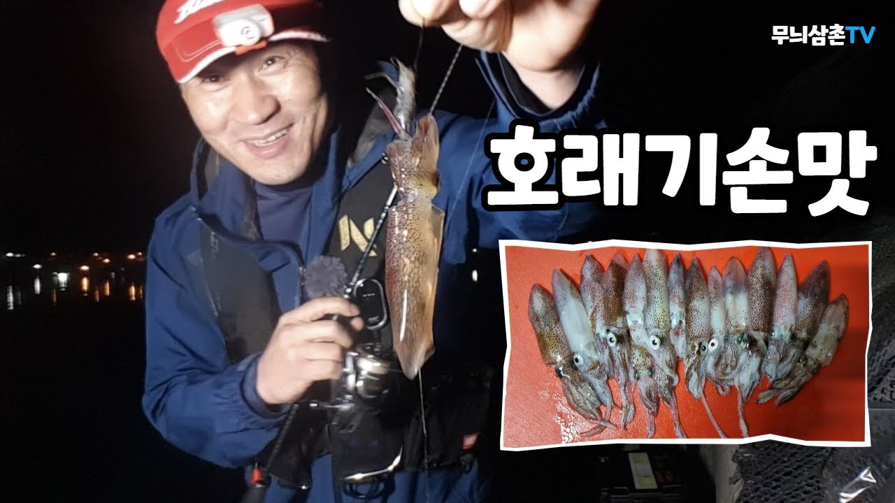 보고 잡는 호래기 낚시, 상층에 호래기가 있는데 반응을 안할때 액션 [무늬삼촌TV] - YouTube