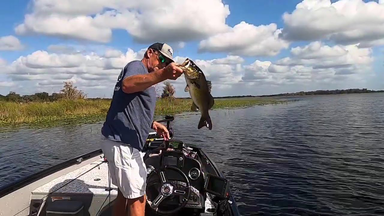 11/12/24  Lake Hernando Florida Bass Fishing