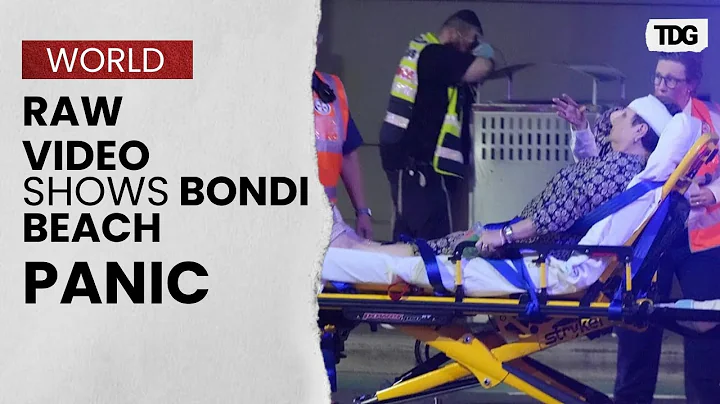 Australia Bondi Beach Shooting: Terrifying Video Shows Happy Beachgoers Moments Before Shooting