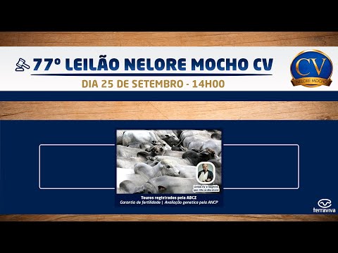 77º Leilão Nelore Mocho CV - Bateria 09