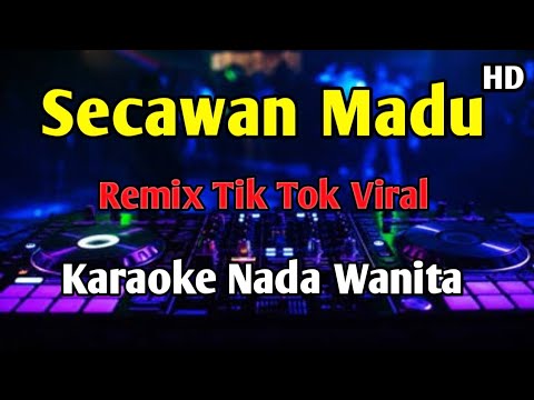 SECAWAN MADU - KARAOKE Remix Tik Tok Viral 