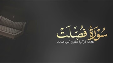 تلاوة سورة فصلت للقارئ أنس المالك من ليالي رمضان لعام ١٤٤٤
