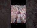 僕たちの失敗　歌ってみた #歌ってみた #cover