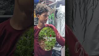 हमारा प्रयास है कि शहर के 10 km radius से कपड़े collect करें और 100 km radius तक distribution