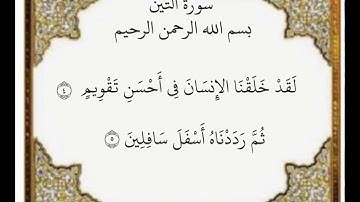 سورة التين الآيات من ٤-٥