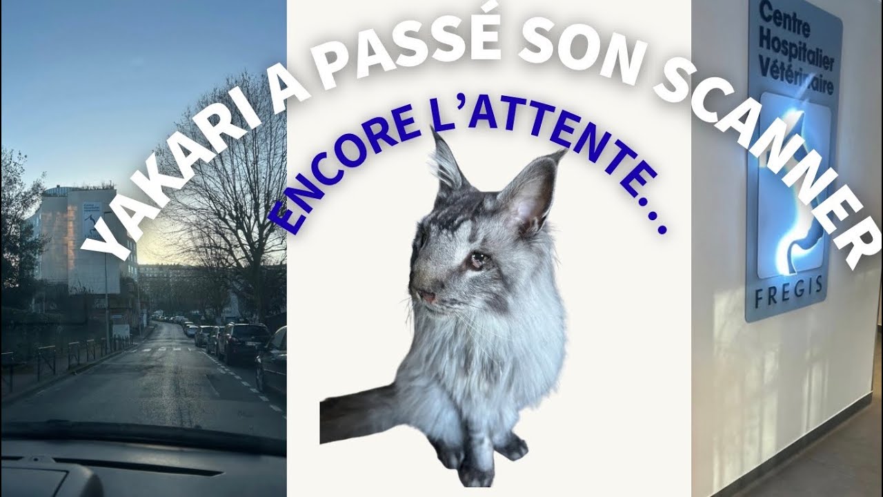 Yakari a passé son scanner - réponses mais pas pour tout …