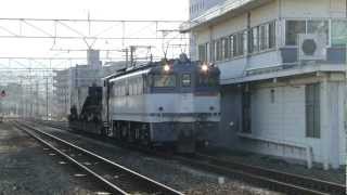 8863レ　EF65-2069号機　シキ611空車回送　三島駅通過