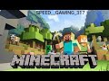 Mintcraft video 🎮🎯