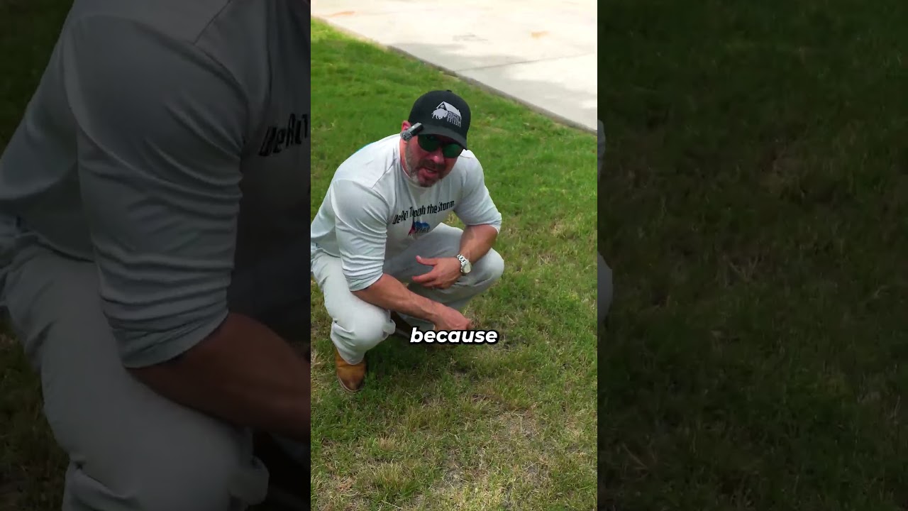 Why Does Your Lawn Look Like Crap?