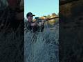 Survival Airgun #hunting #survival #airgun