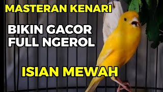 100% RESPON FULL ISIAN, MASTERAN PAUD | MASTERAN BURUNG KENARI GACOR ,  KENARI NGEROL PANJANG NEMBAK