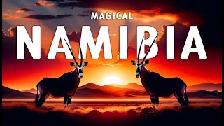 ВОЛШЕБНАЯ НАМИБИЯ | Полный документальный фильм «Удивительная дикая природа Намибии»