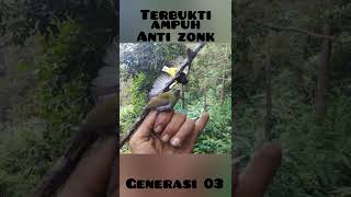 suara pikat sogon anti zonk terbukti ampuh RASAKAN SENSASINYA...!!!