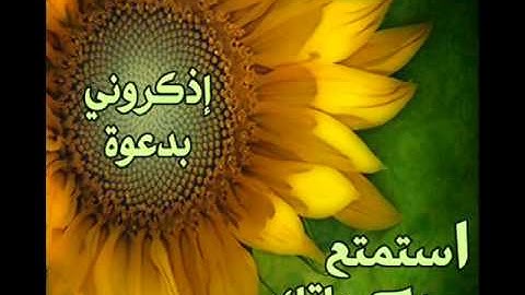سورة الكهف الشيخ يحيى عيشان