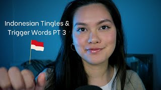 Indonesian Trigger Words 3 | Tingly Sounds to Learn Indonesian screenshot 5