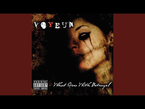Project Voyeur: This Is More Twisted Than You Think