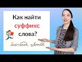 Что такое суффикс? Как найти суффикс в слове?