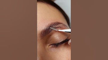 How to upgrade your brows with Inlei brow bomber😌🤌|| My Absolute Beauty