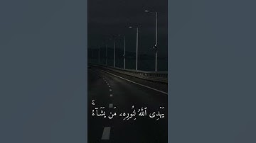 القران الكريم عبدالرحمن مسعد سوره النور