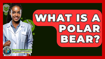 What Is A Polar Bear? - Earth Science Answers